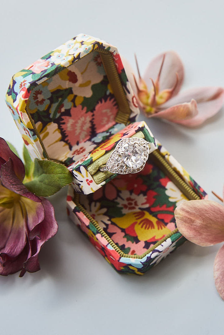 The Hanalei Proposal